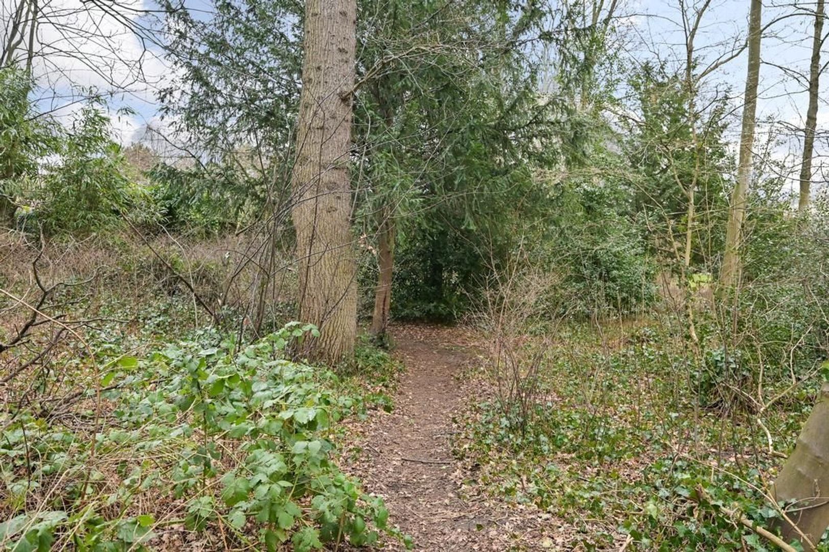 Lombokstraat 10 A, Den Haag foto-29 blur