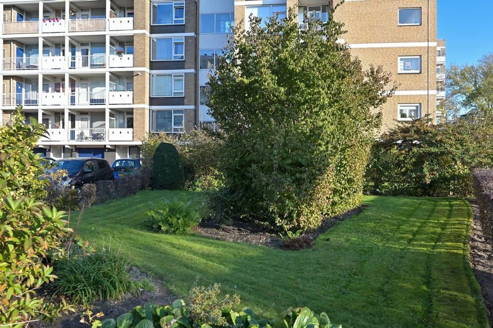 Traviatastraat 182, Den Haag foto-28 blur