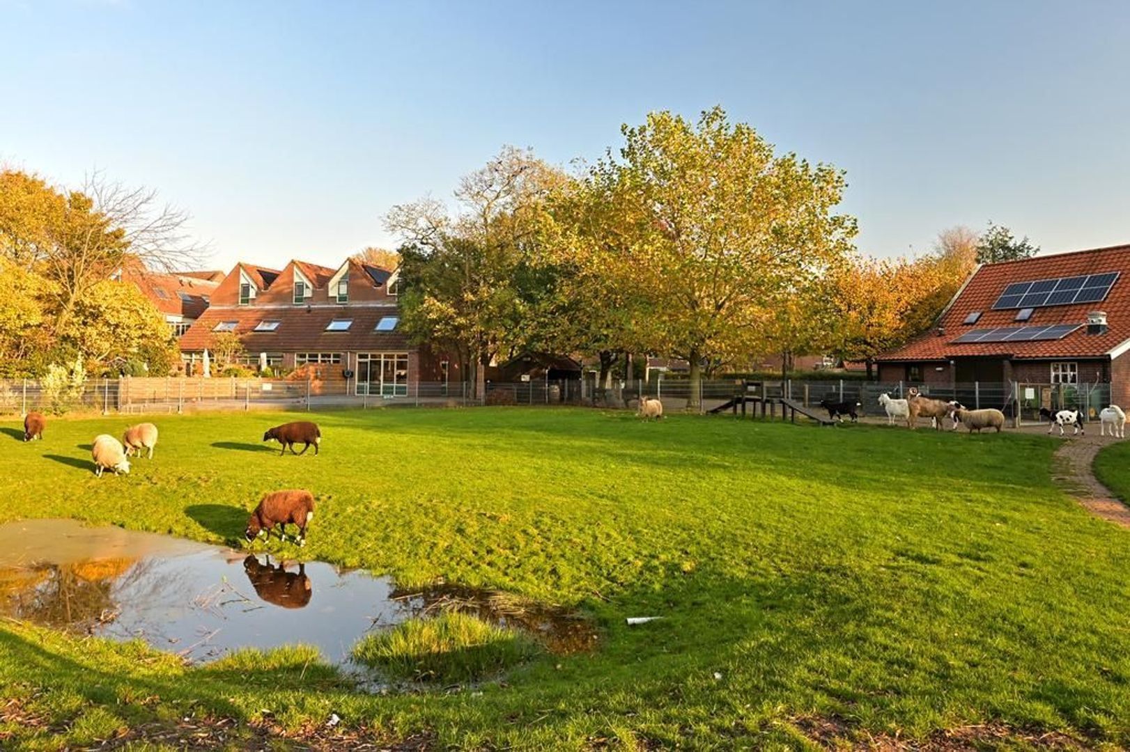 Traviatastraat 182, Den Haag foto-30 blur