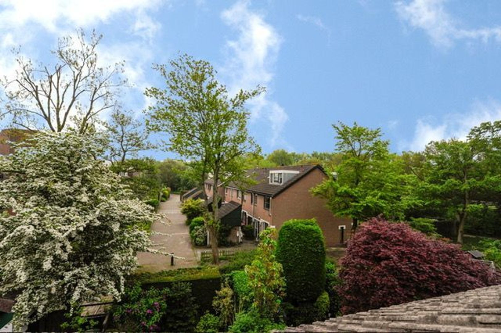 Sepiahof 3, Voorburg foto-36 blur