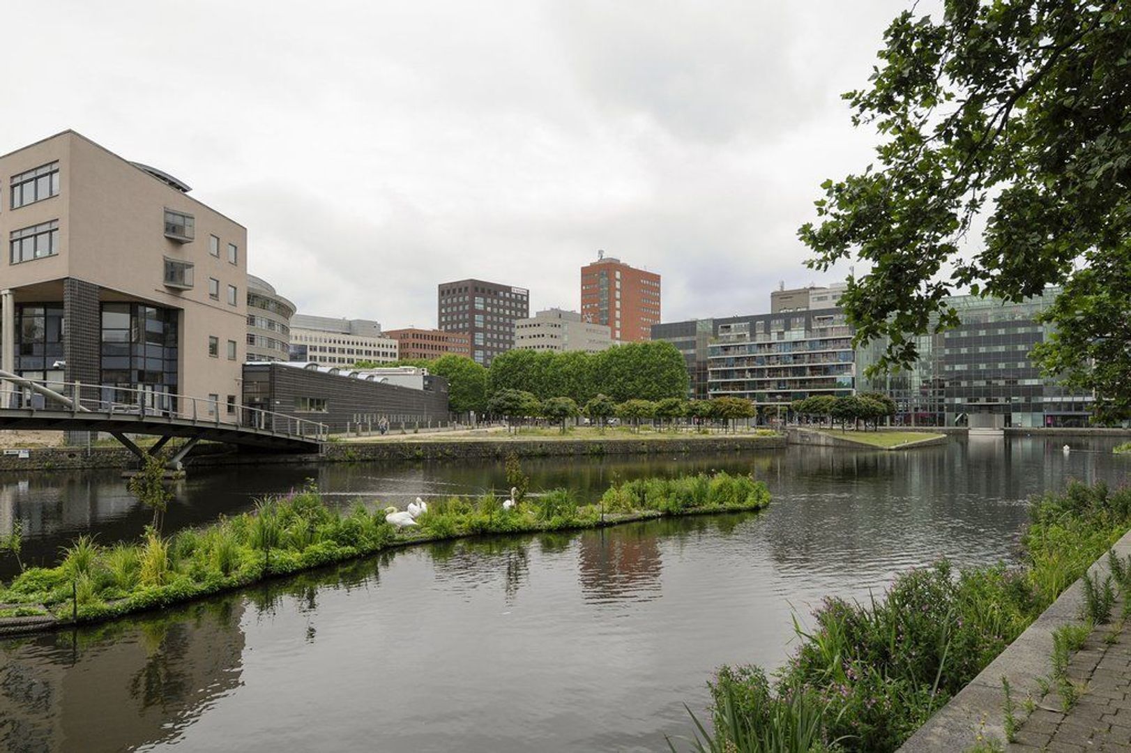 Rijswijkseweg 63, Den Haag foto-25 blur