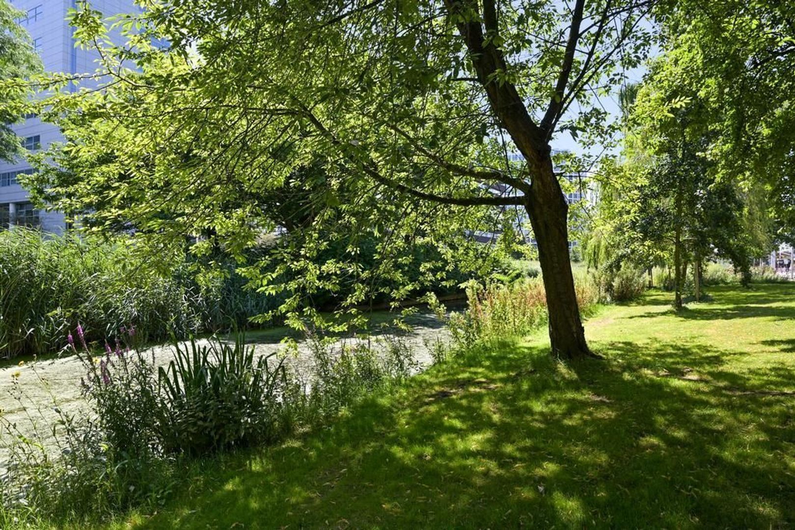 Amalia van Solmsstraat 146, Den Haag foto-22 blur