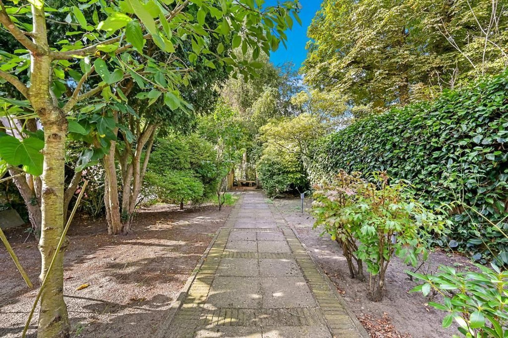 Wassenaarseweg 6, Den Haag foto-21 blur