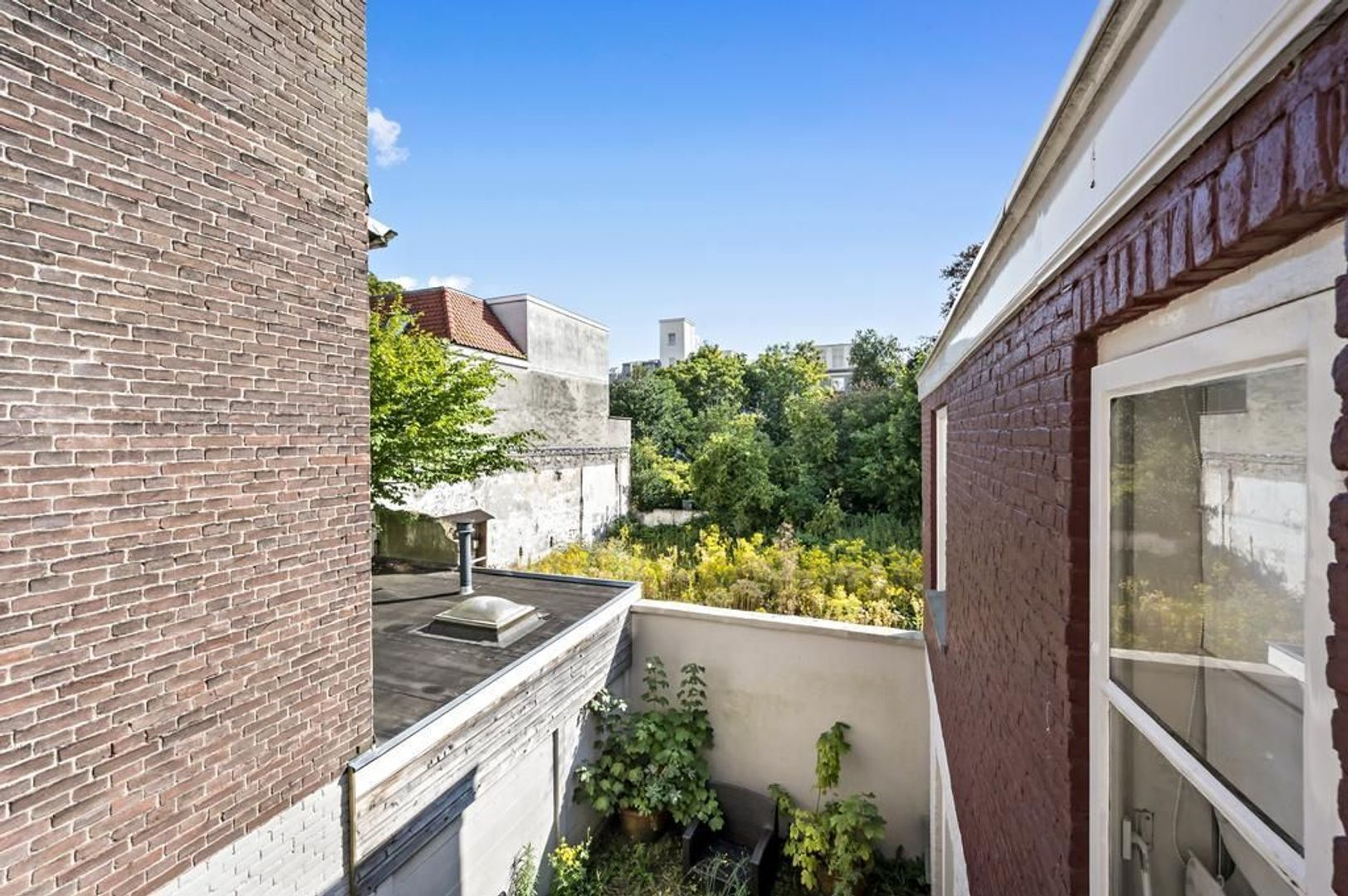 Balistraat 43, Den Haag foto-25 blur