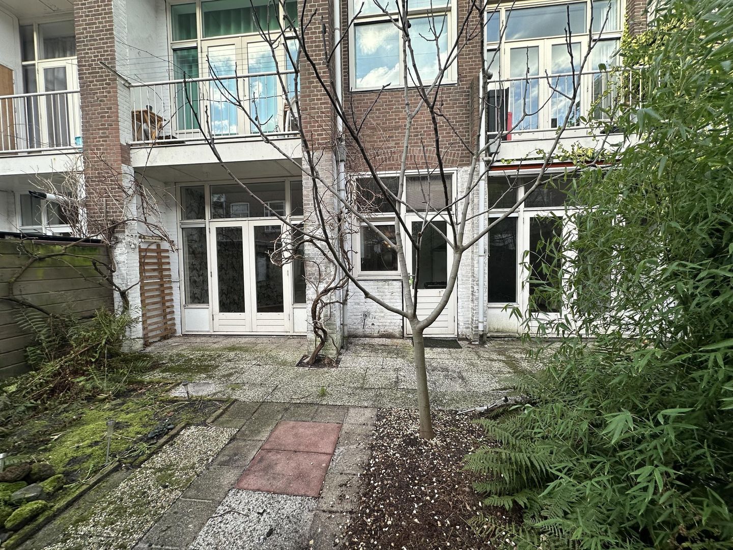 Sleedoornstraat 38, Den Haag foto-23 blur