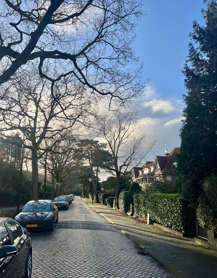 Groot Hoefijzerlaan 21, Wassenaar foto-41 blur