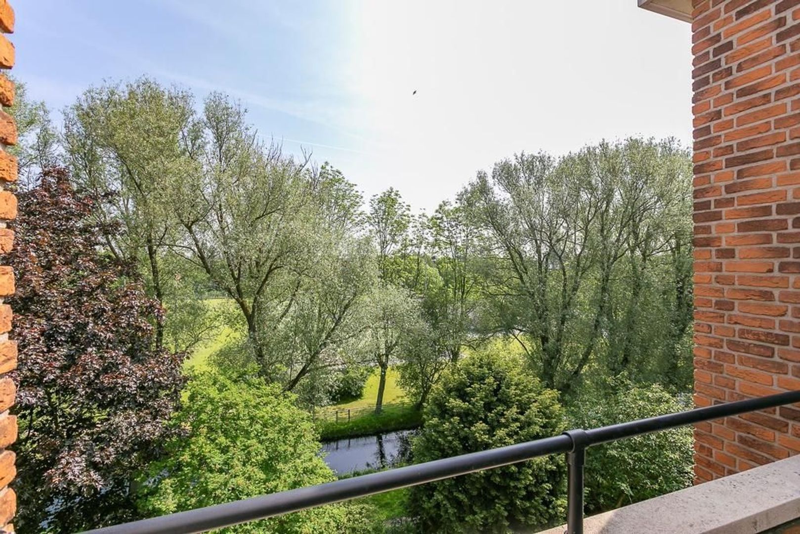 Zonnebloemstraat 227, Den Haag foto-4 blur