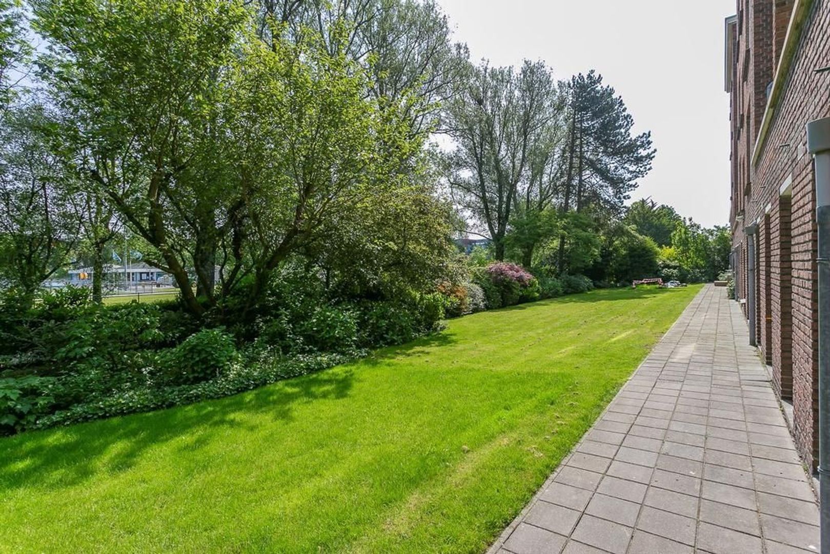 Zonnebloemstraat 227, Den Haag foto-26 blur