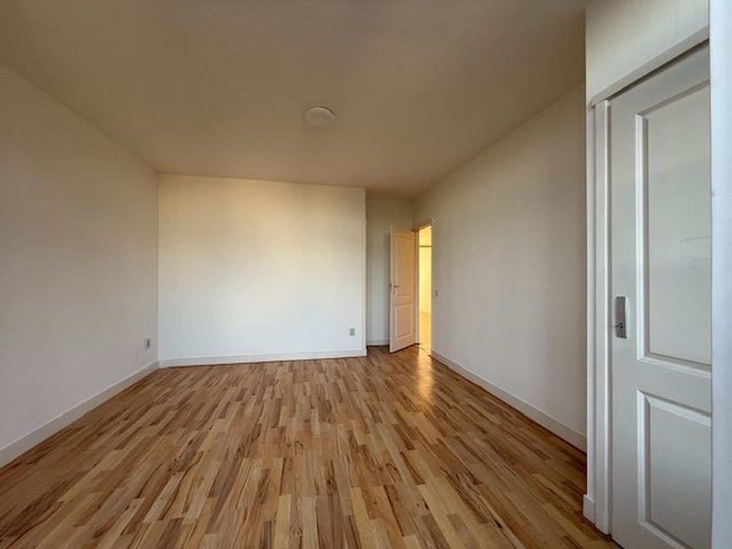 Torenstraat 12, Den Haag foto-23 blur