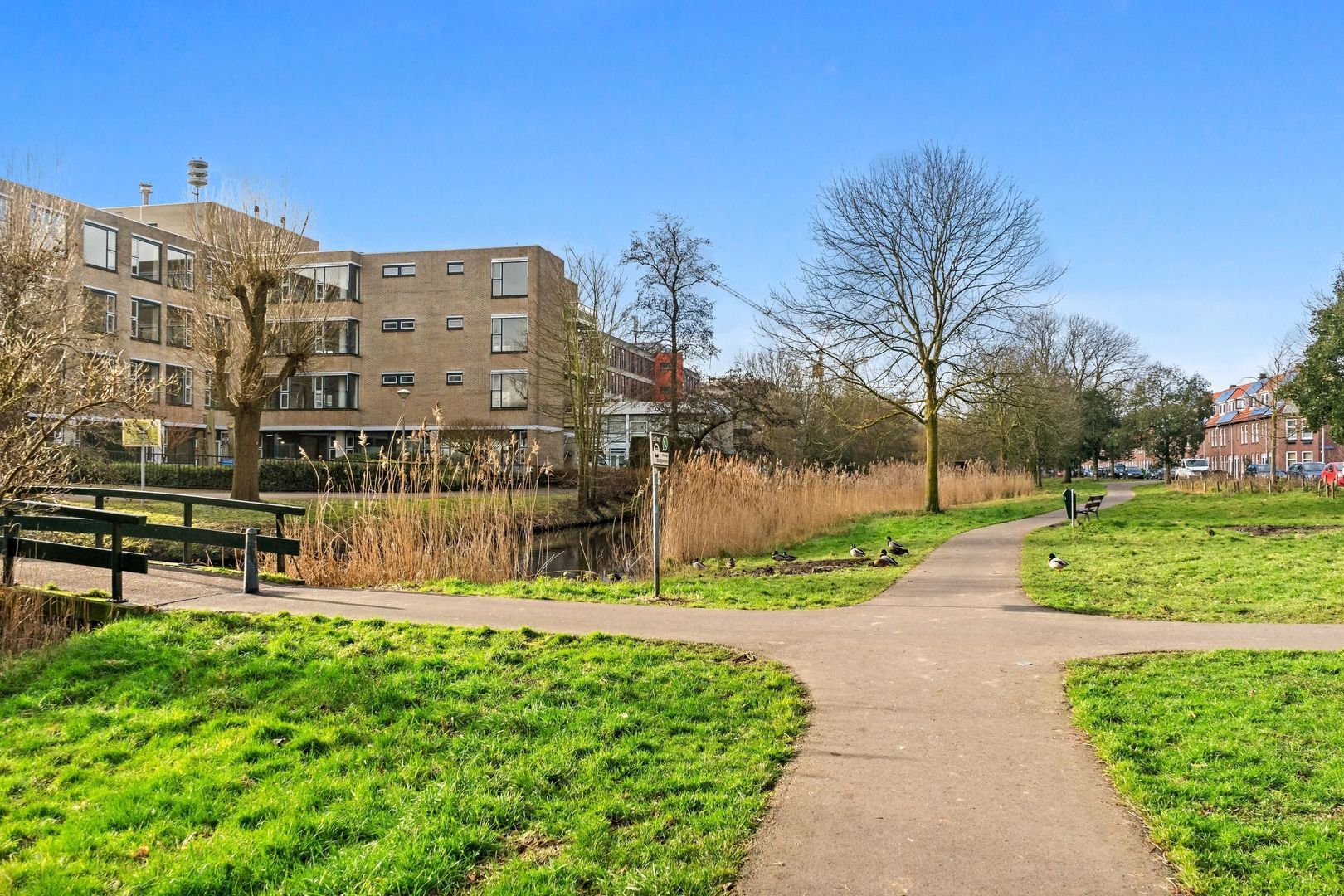 Tonystraat 49, Den Haag foto-29 blur