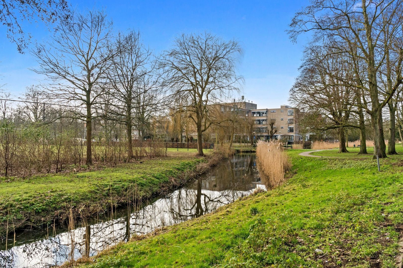 Tonystraat 49, Den Haag foto-32 blur