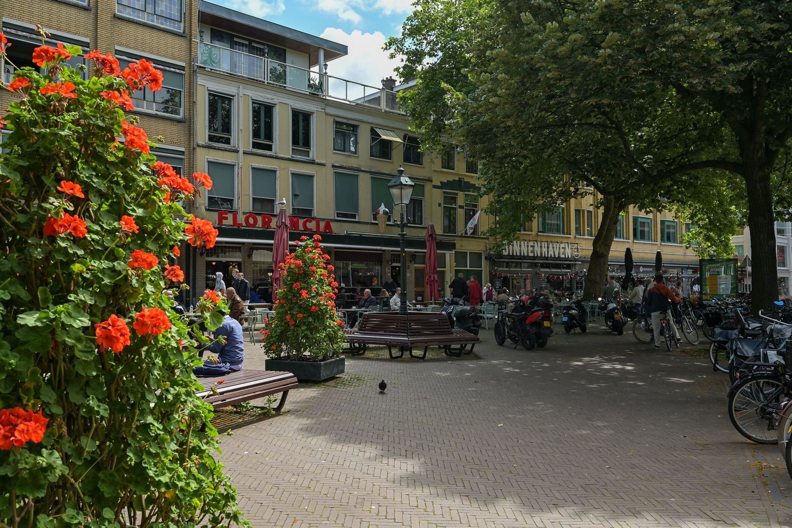 Agnietenpad 11, Den Haag foto-32 blur