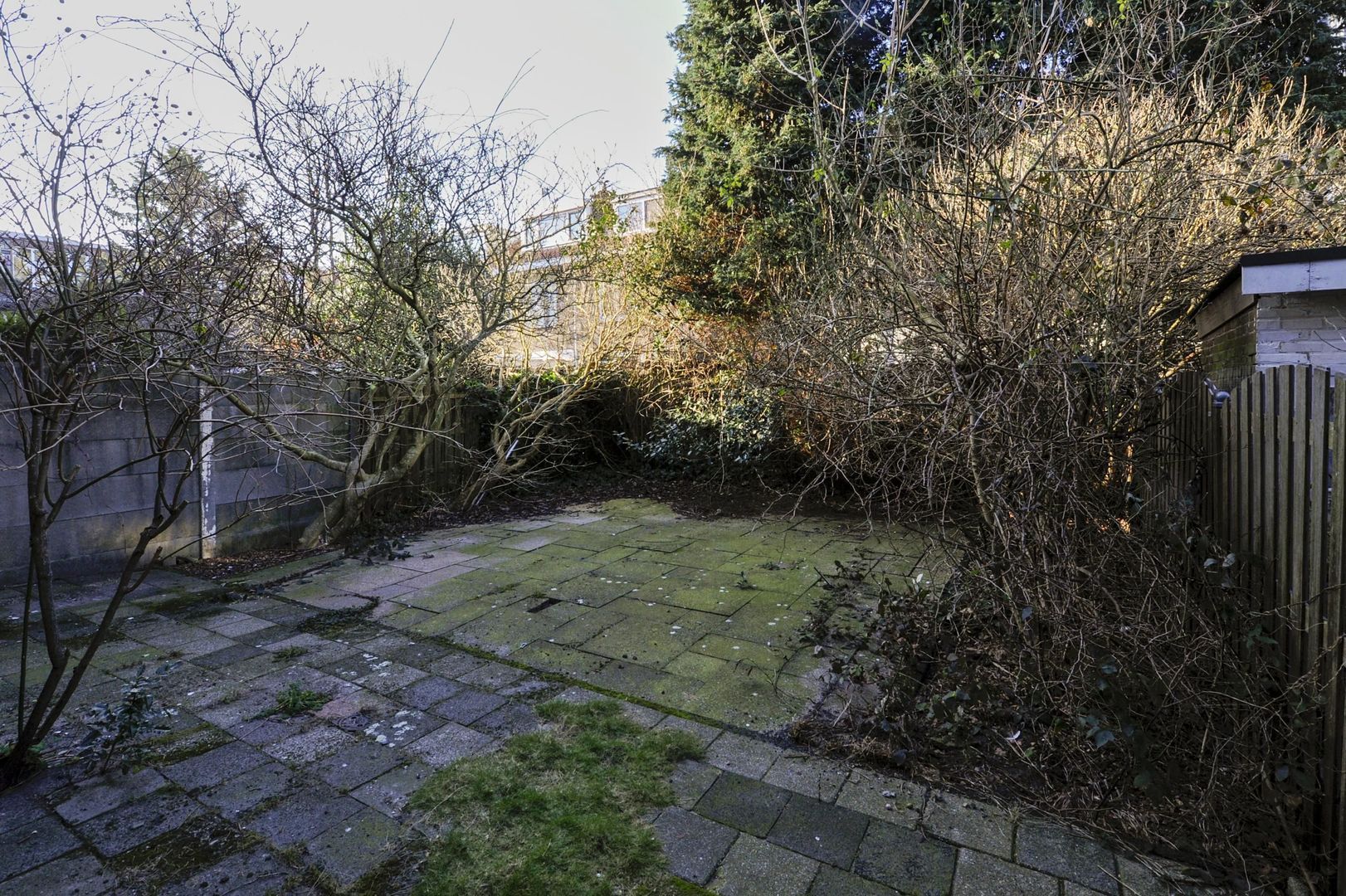 Allard Piersonlaan 19, Den Haag foto-4 blur