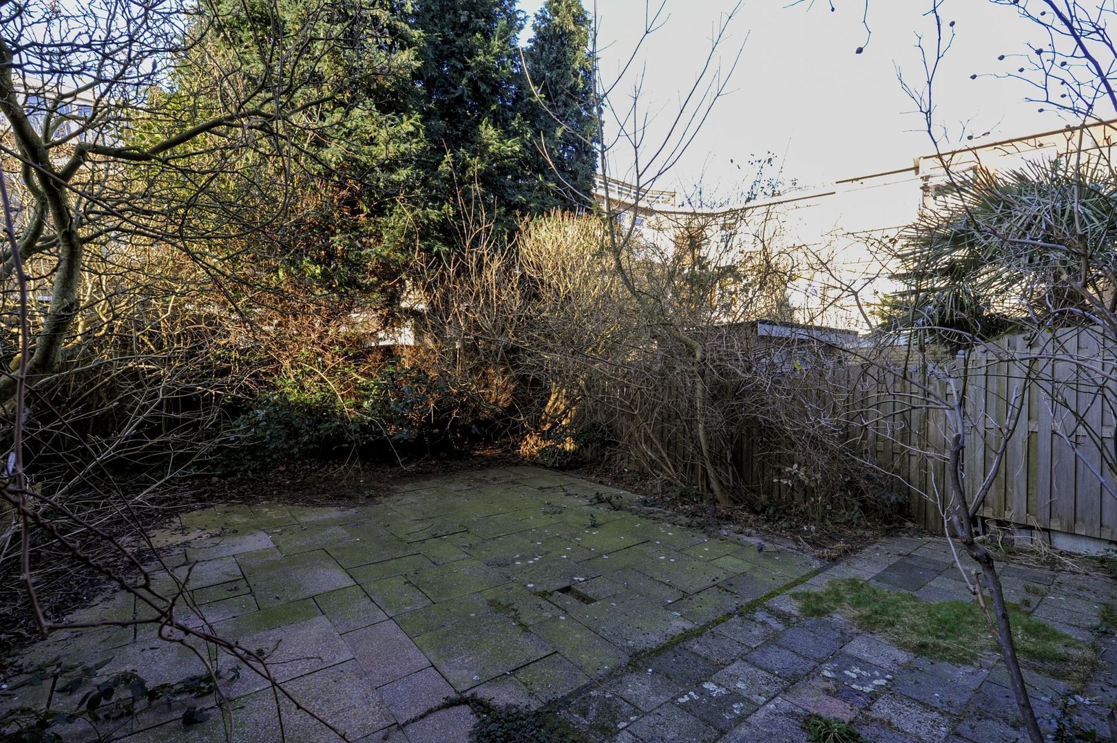 Allard Piersonlaan 19, Den Haag foto-22 blur