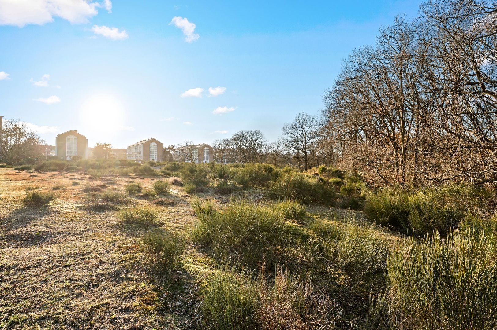 Fuchsiastraat 80, Den Haag foto-46 blur