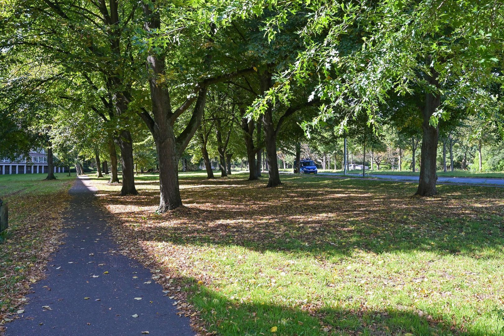 Parelmoerhorst 302, Den Haag foto-24 blur