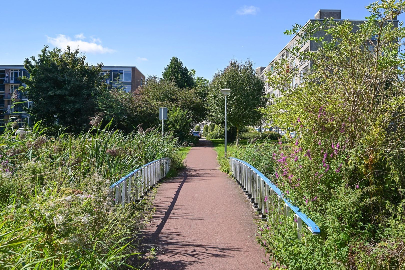 Parelmoerhorst 302, Den Haag foto-26 blur