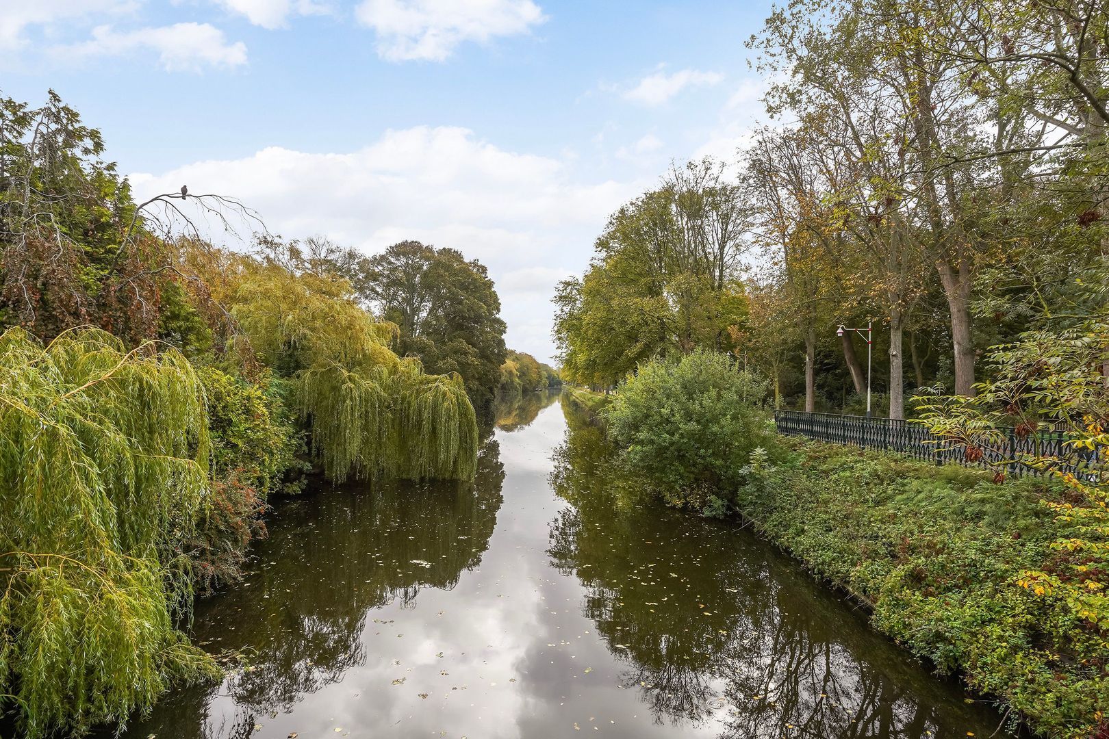 Cornelis Jolstraat 2 B, Den Haag foto-26 blur