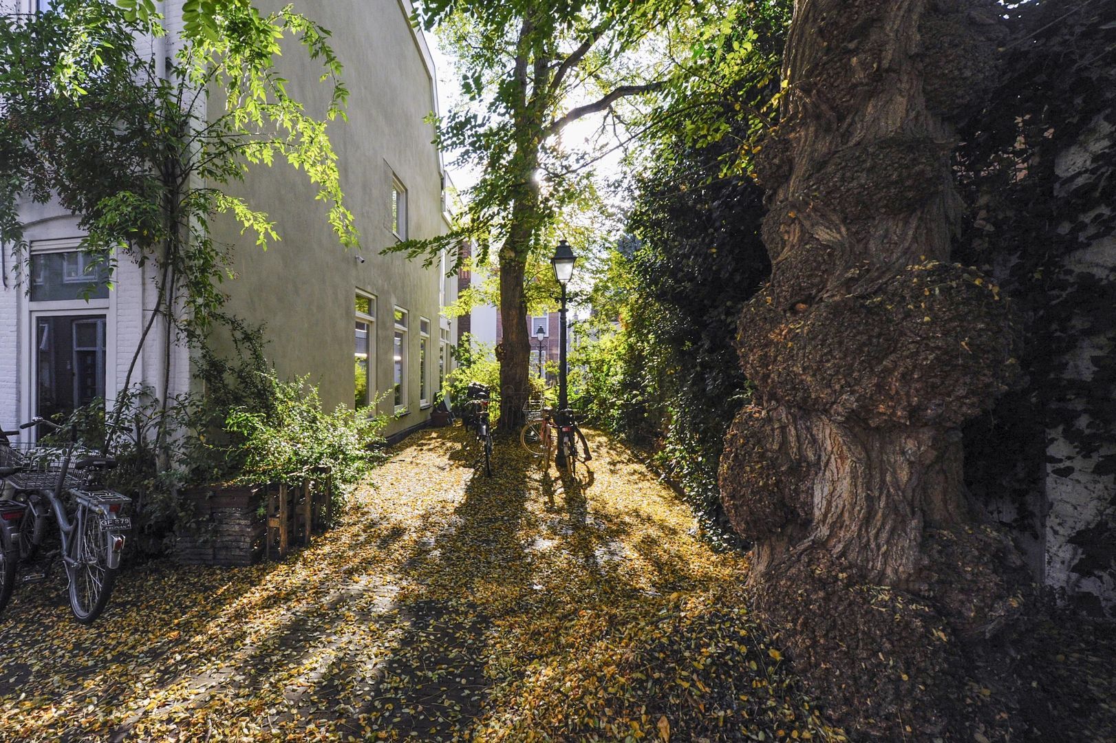 Van Swindenstraat 39, Den Haag foto-30 blur