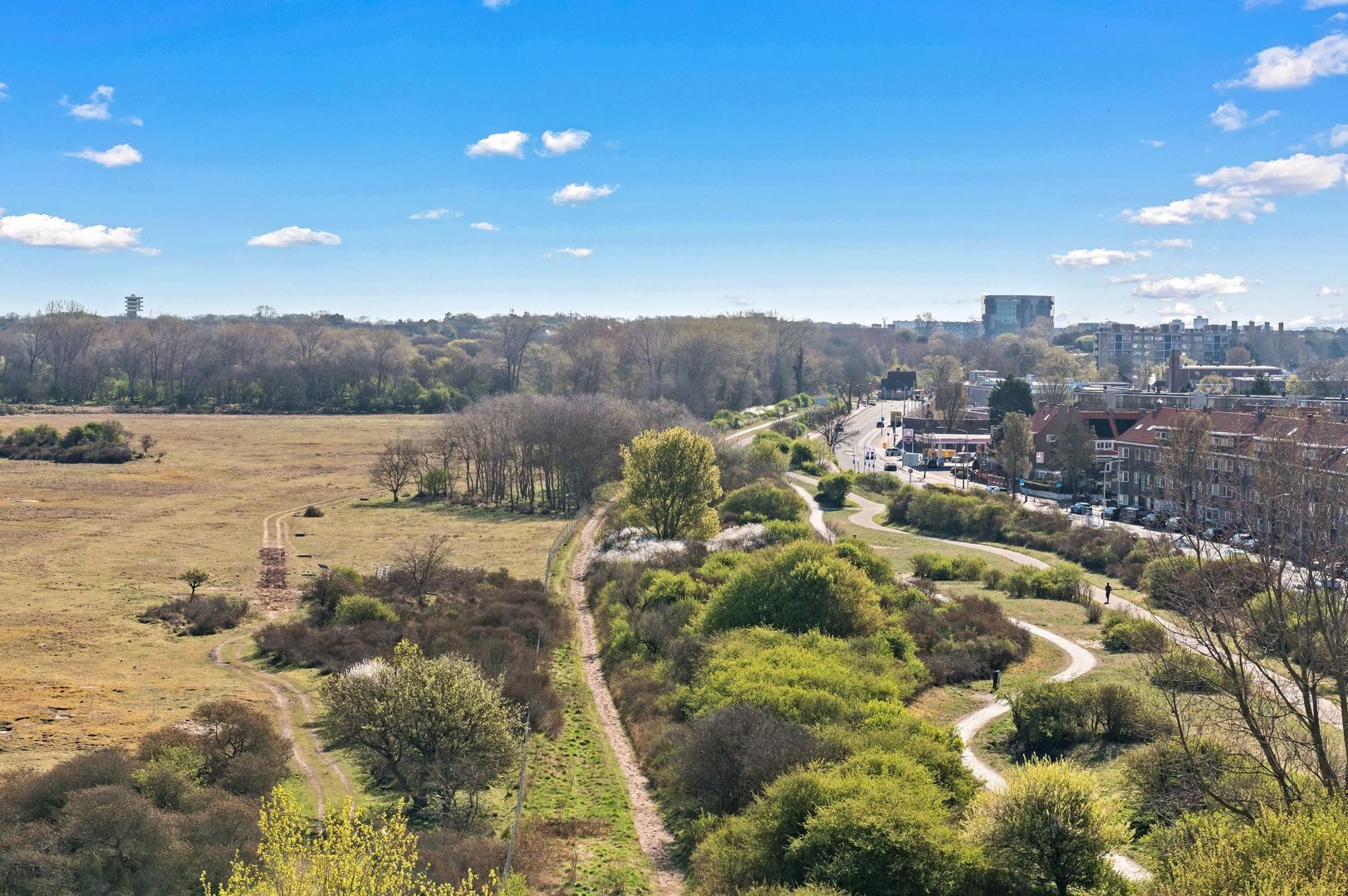 Groningsestraat 347, Den Haag foto-36 blur