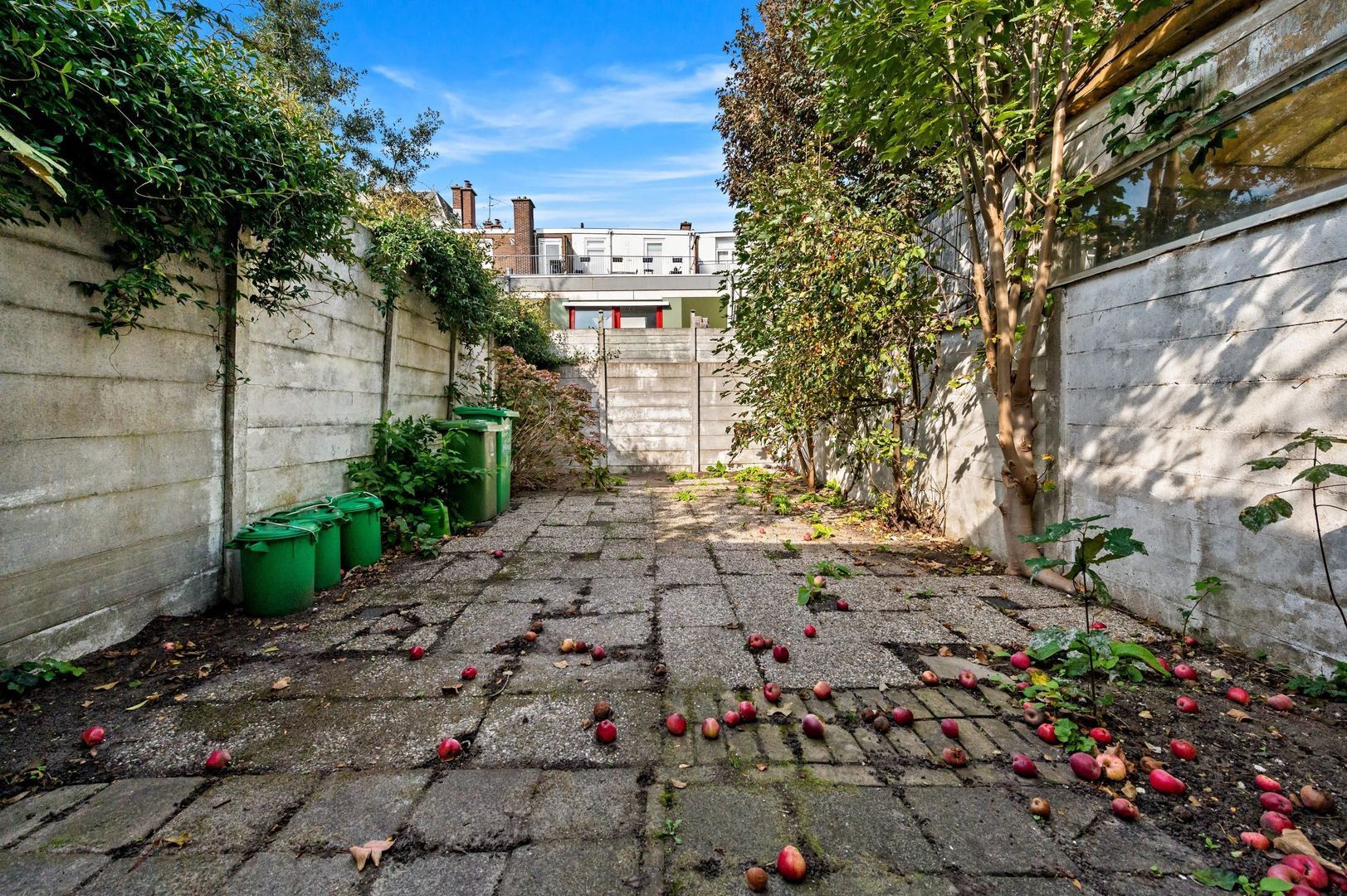 Kepplerstraat 19, Den Haag foto-14 blur