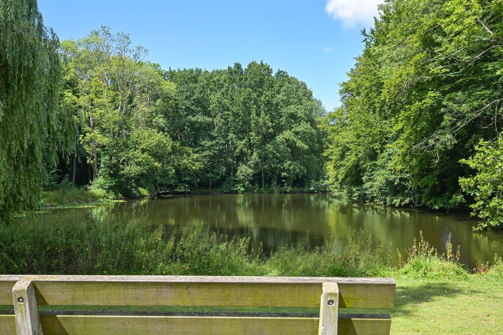 Lindelaan 215, Rijswijk foto-24 blur