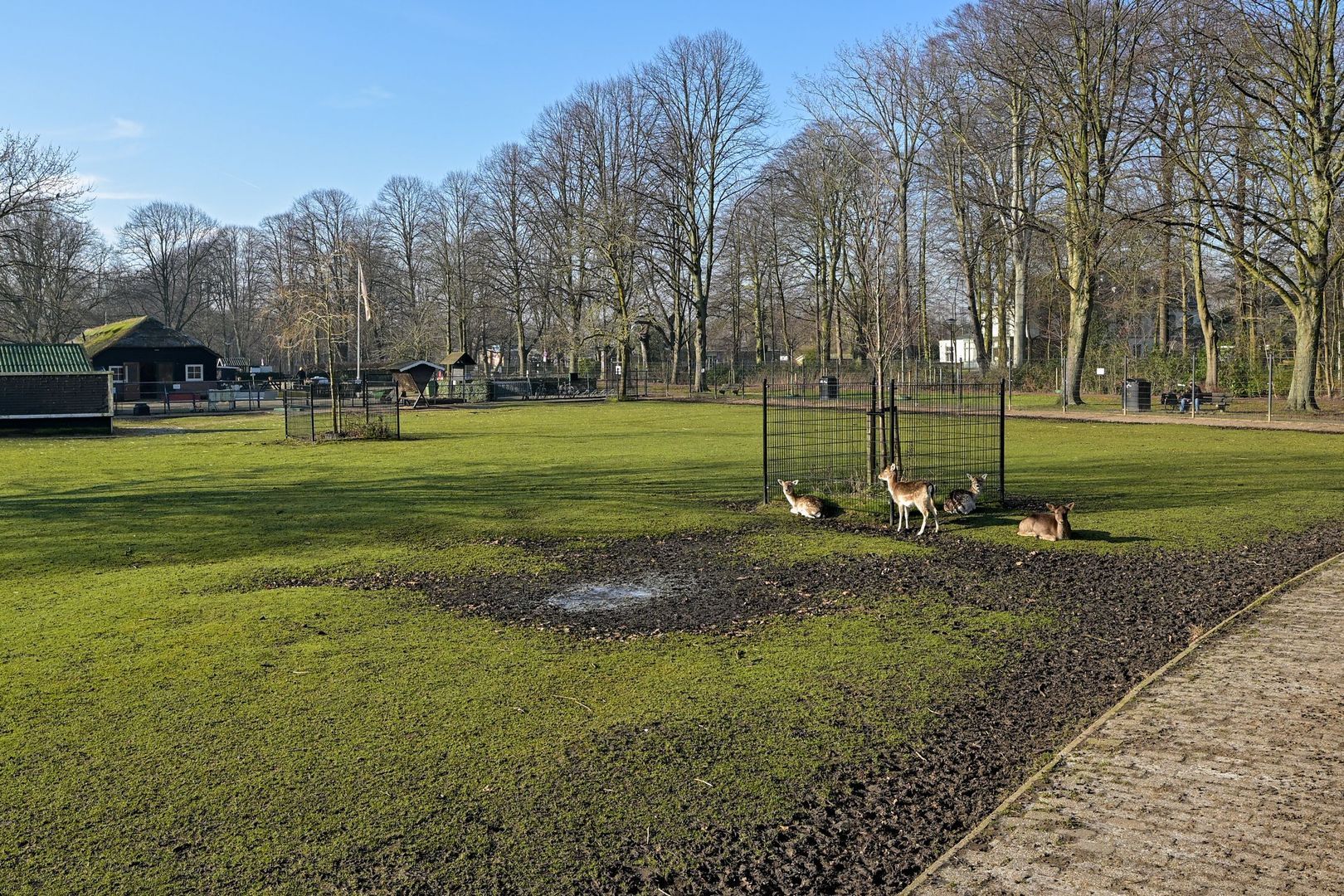 Lindelaan 215, Rijswijk foto-23 blur