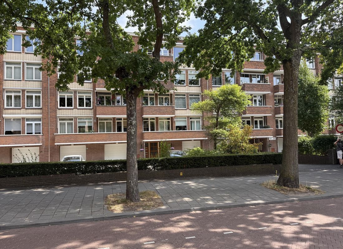 Zonnebloemstraat 217, Den Haag