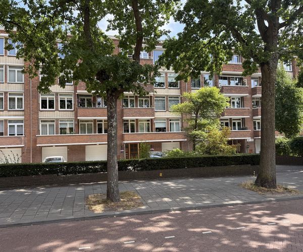 Zonnebloemstraat 217, Den Haag
