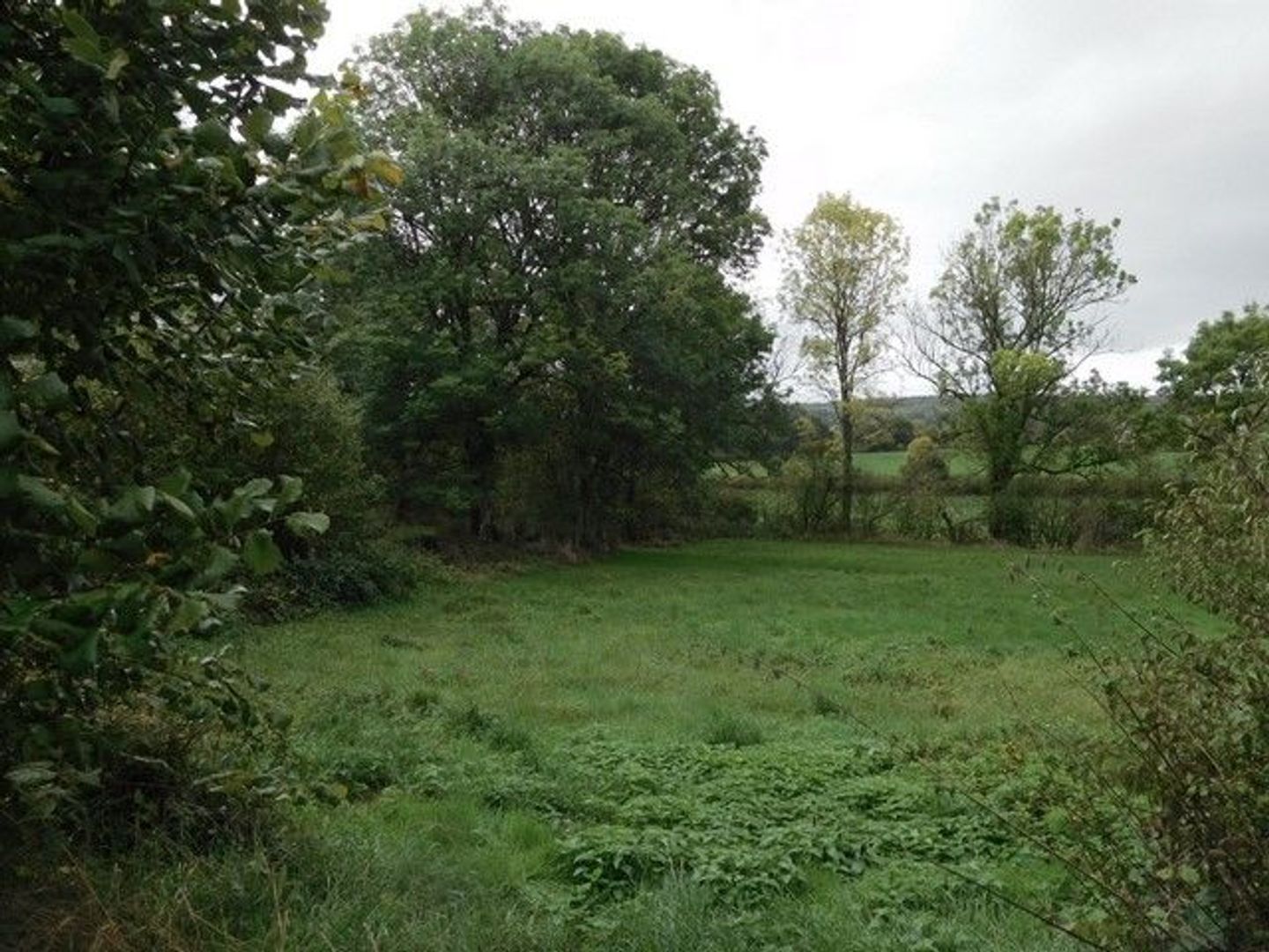SI1217, St Benin des Bois foto-4 blur