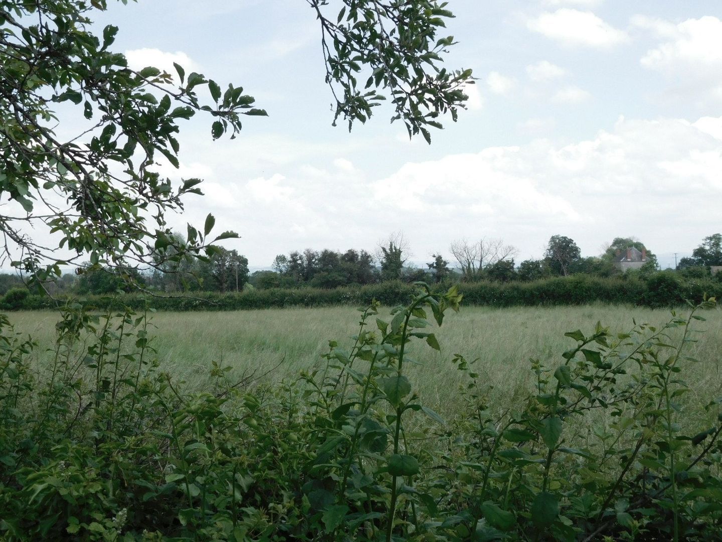 SI1314, Châtillon-en-Bazois foto-4 blur