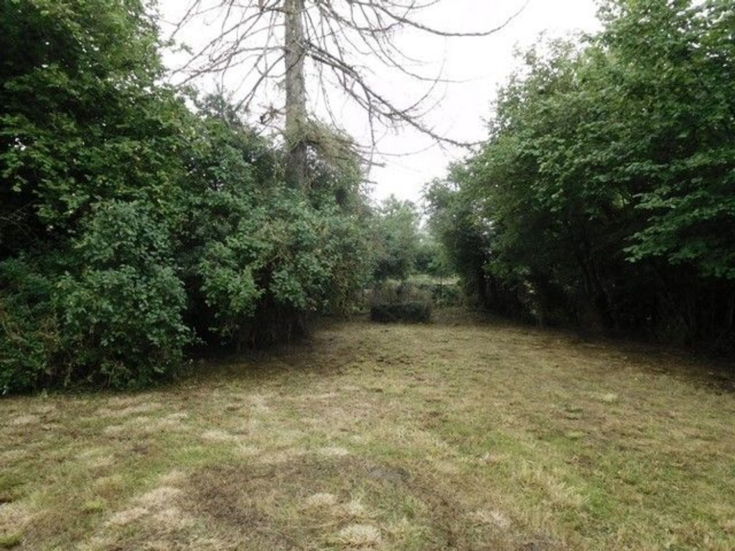 SI1316, Châtillon-en-Bazois foto-4 blur