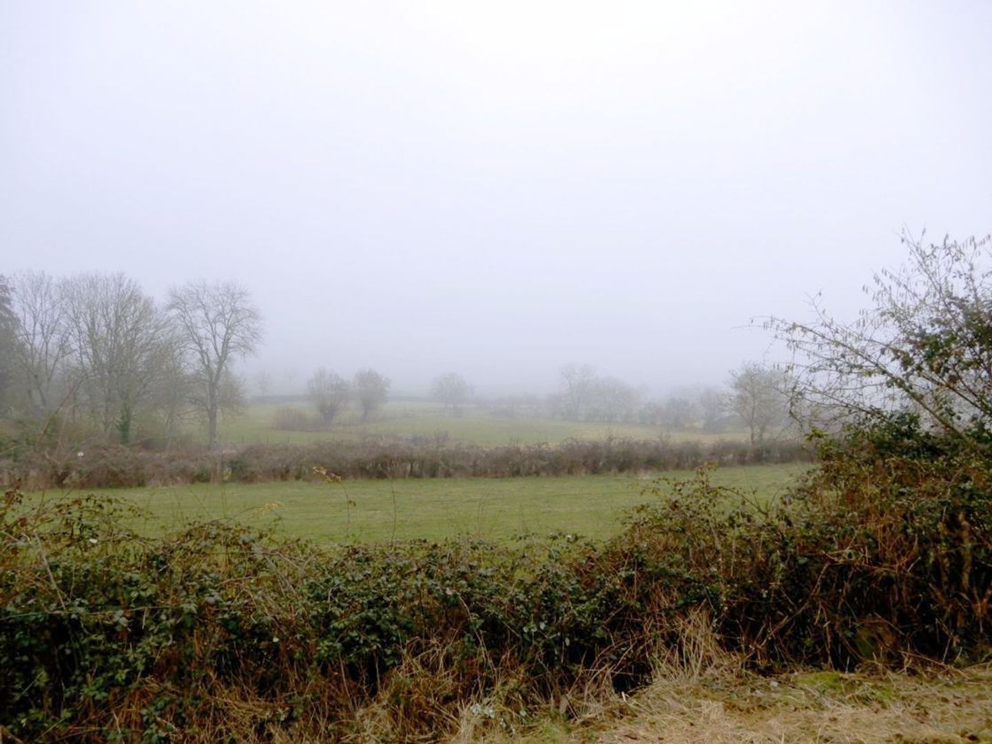 SI1350, Brinon-sur-Beuvron foto-4 blur