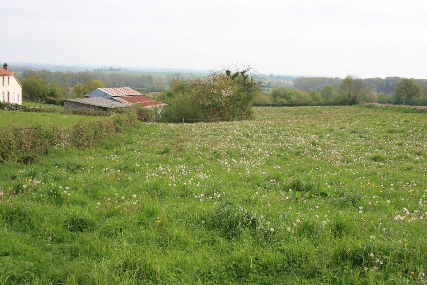 SI1359, Moncoutant-sur-Sevre foto-4 blur