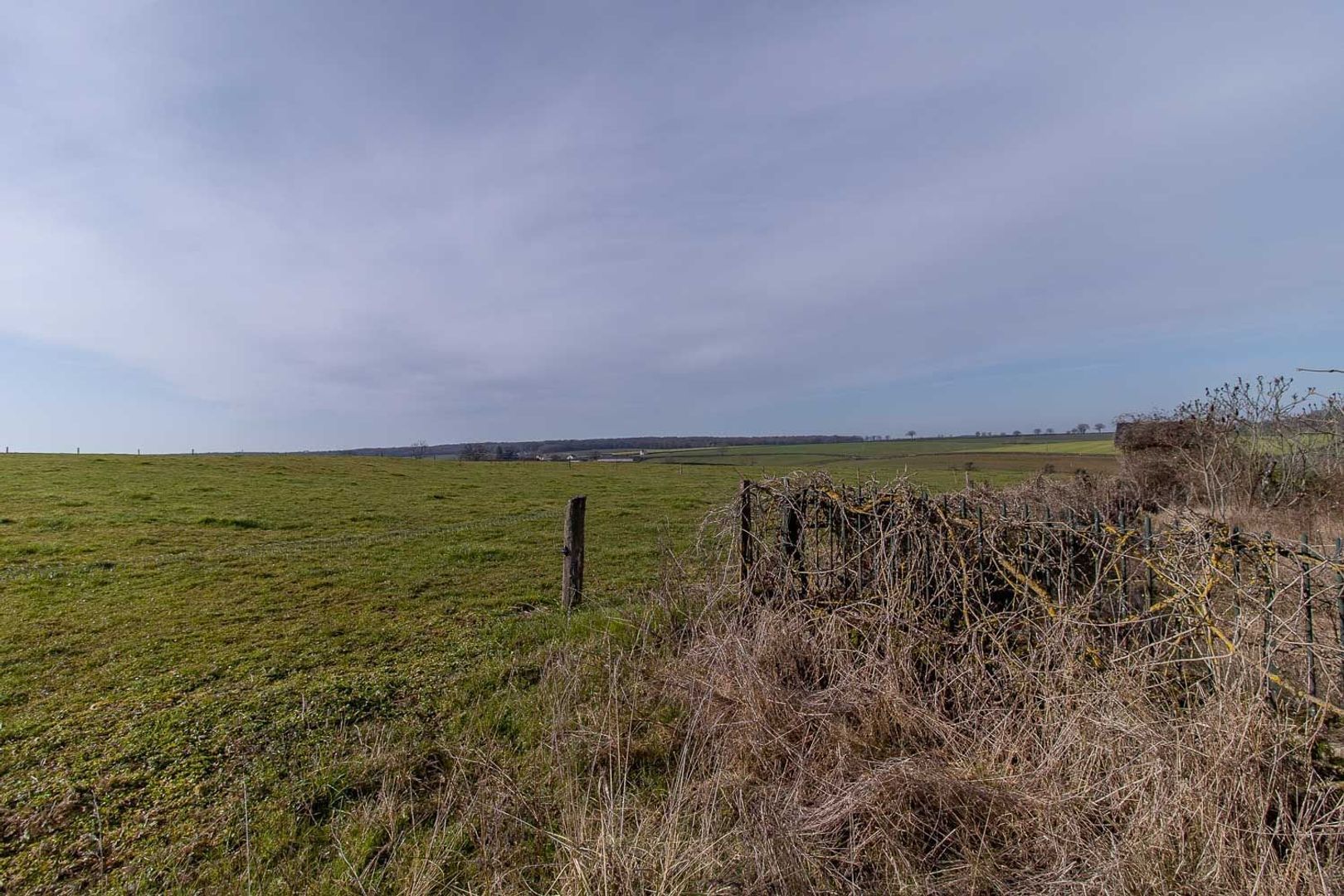 SI1394, Cercy-la-Tour foto-4 blur