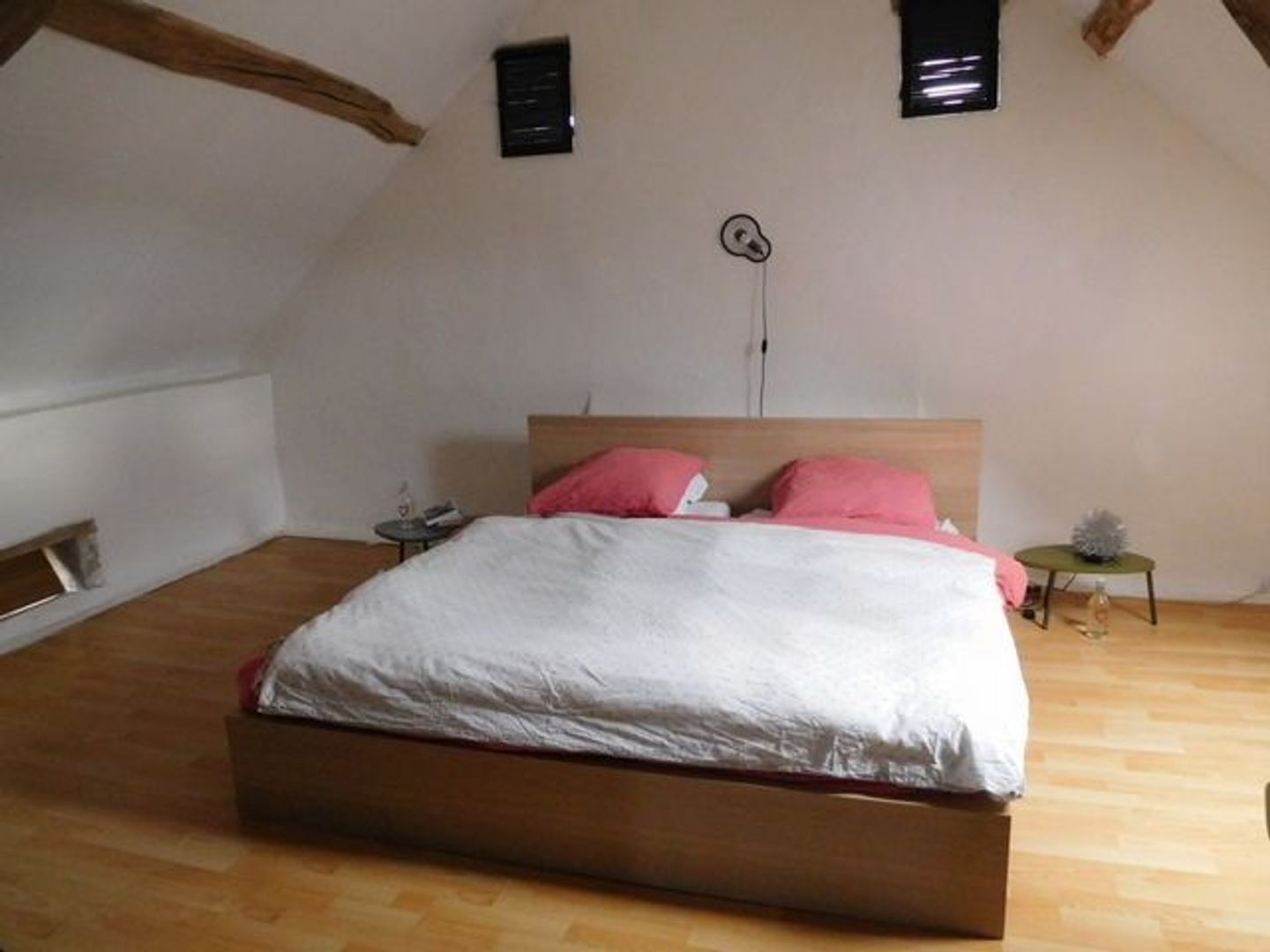 SI1455, Ternant foto-3 blur