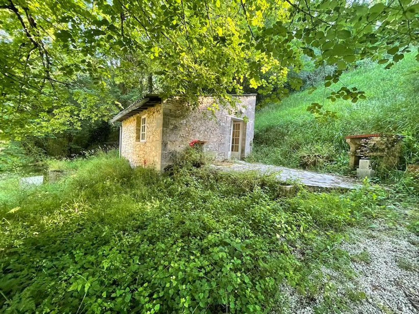 SI1493, Coux-et-Bigaroque-Mouzens foto-1 blur