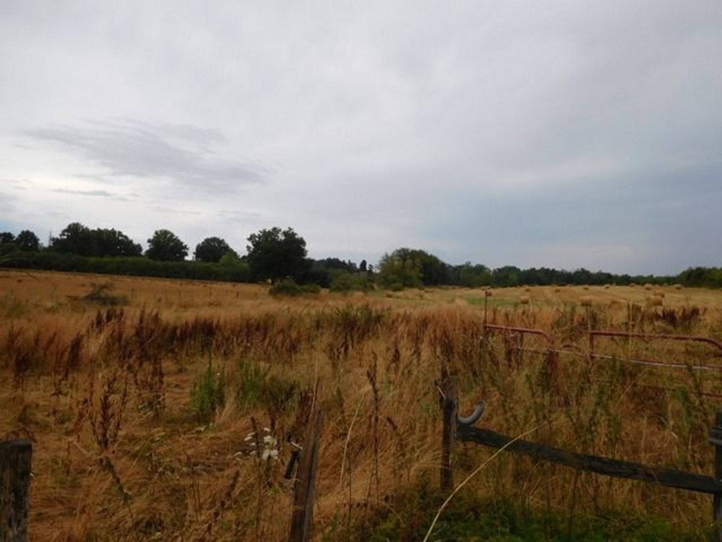SI1518, Paray-le-Frésil foto-4 blur