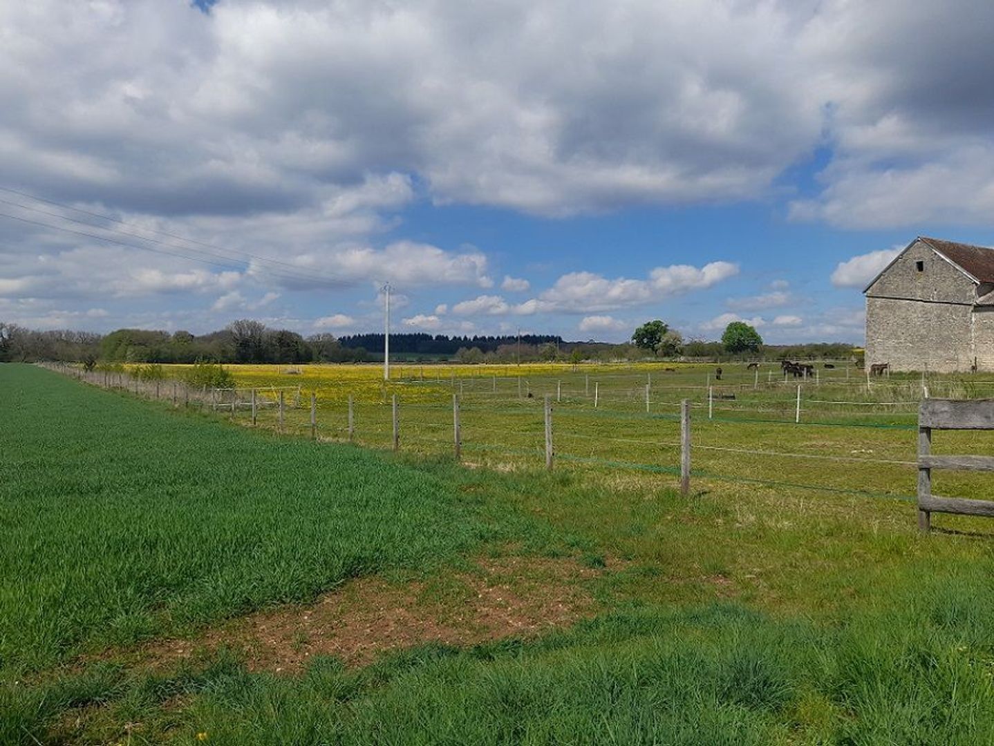 SI1522, Châtillon-sur-Seine foto-4 blur