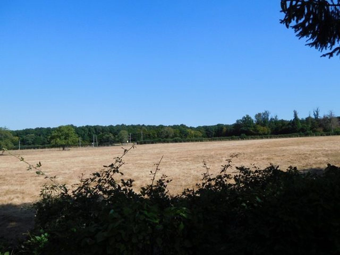 SI1529, Montigny-sur-Canne foto-4 blur