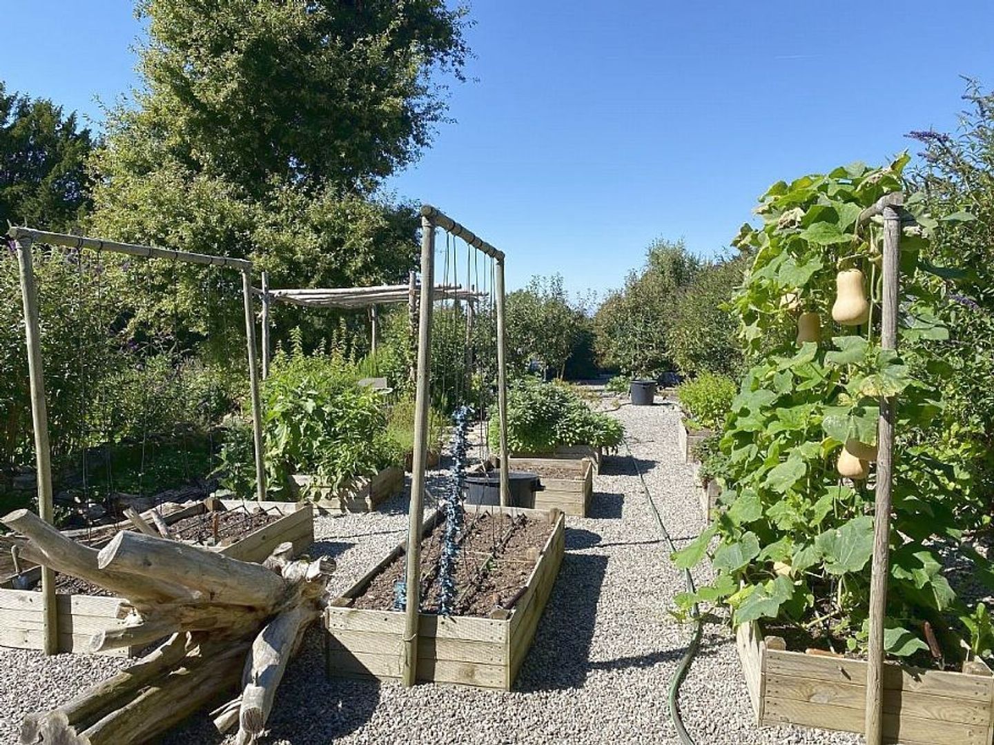 SI1555, Oradour-sur-Vayres foto-4 blur