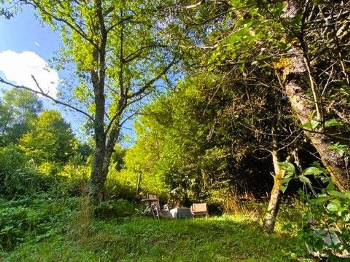 SI1566,  foto-3 blur