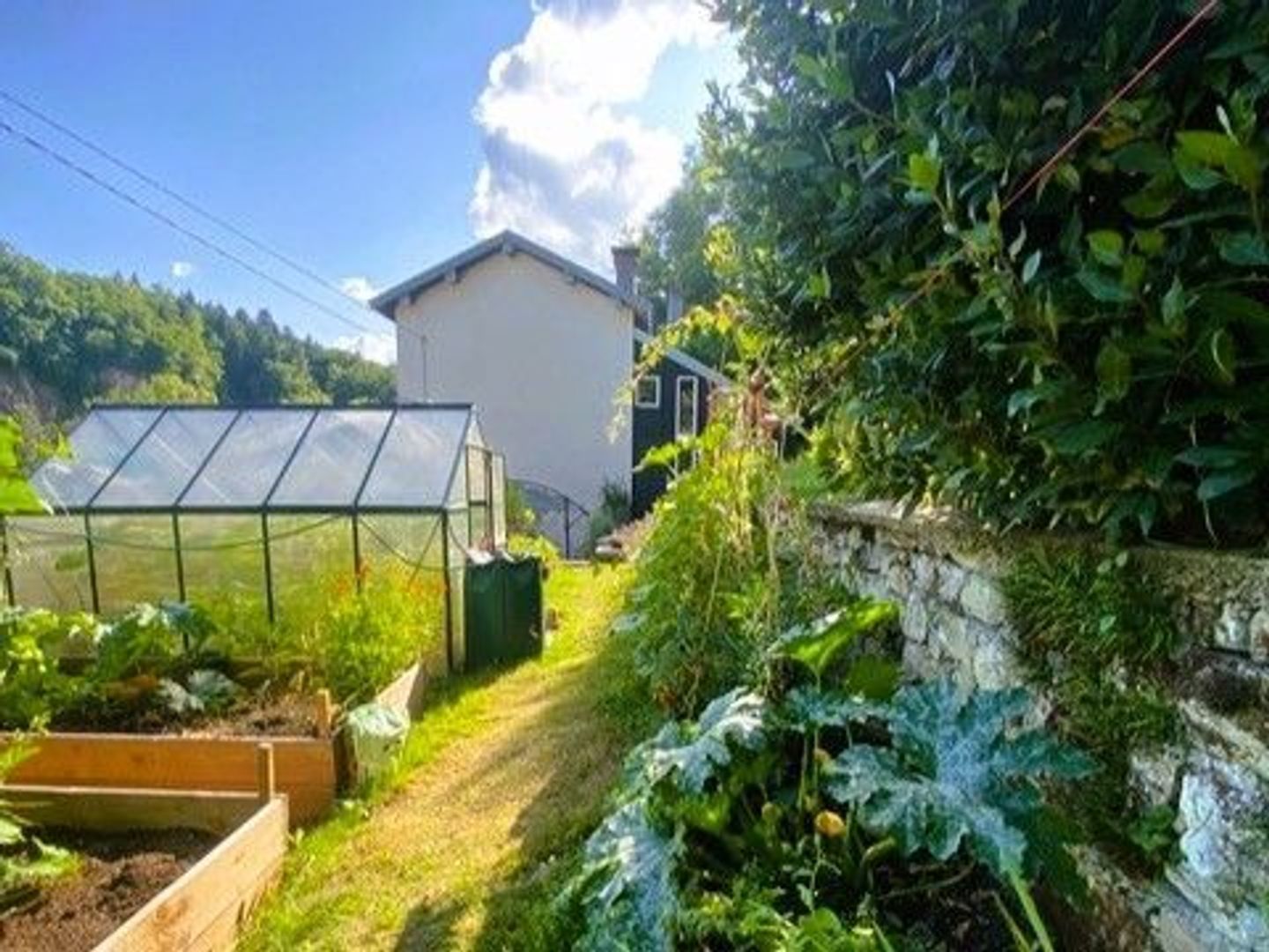 SI1566,  foto-4 blur