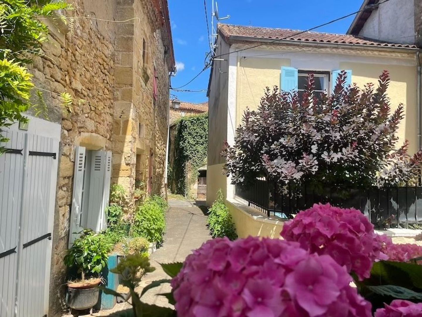 SI1570, Corgnac-sur-l'Isle foto-4 blur