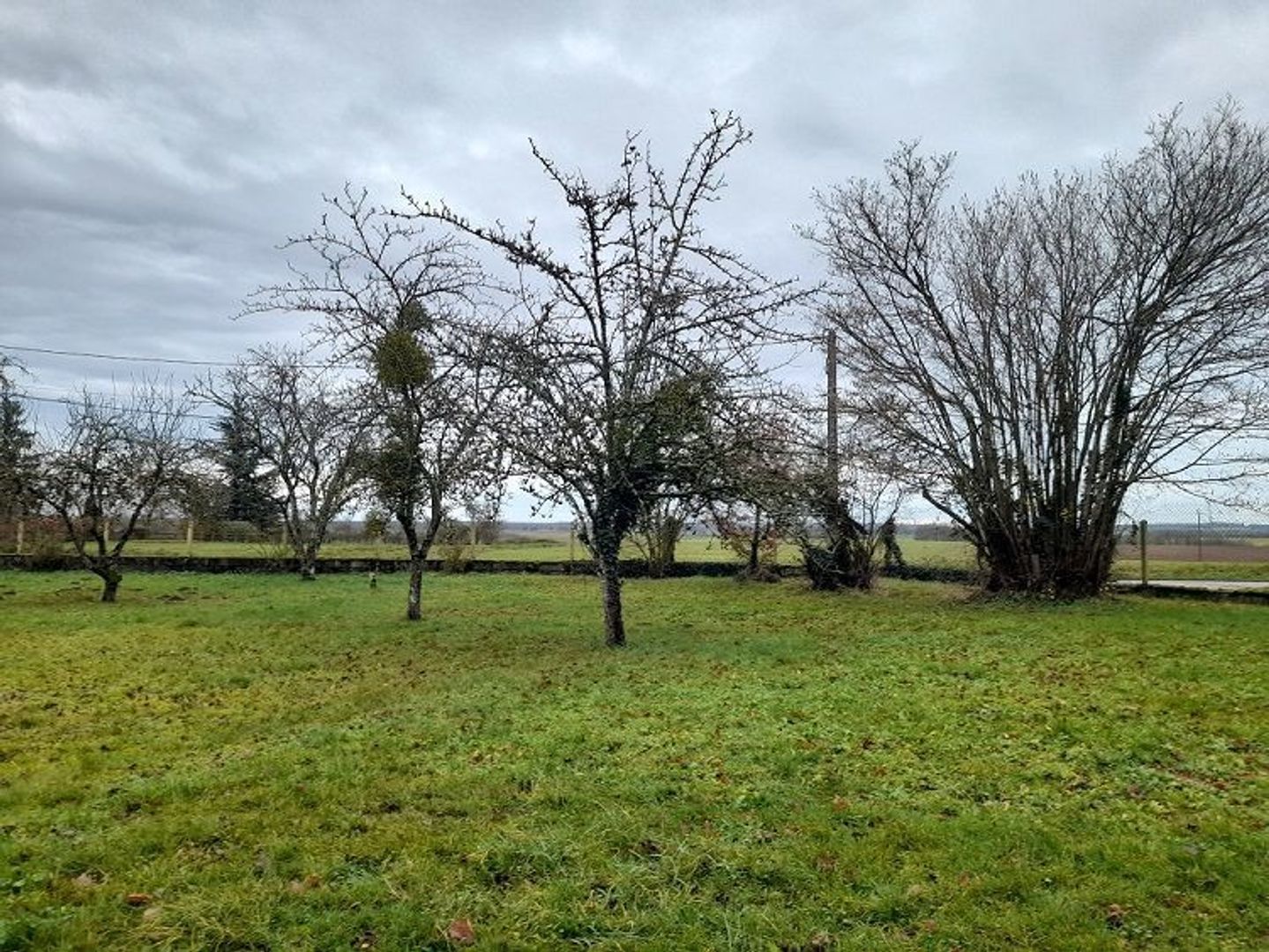 SI1561, Entrains-sur-Nohain foto-4 blur