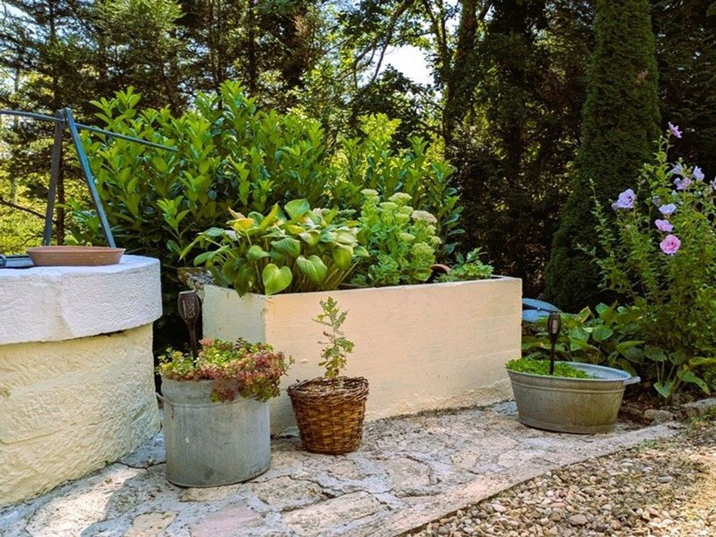 SI1556, Faverney foto-3 blur