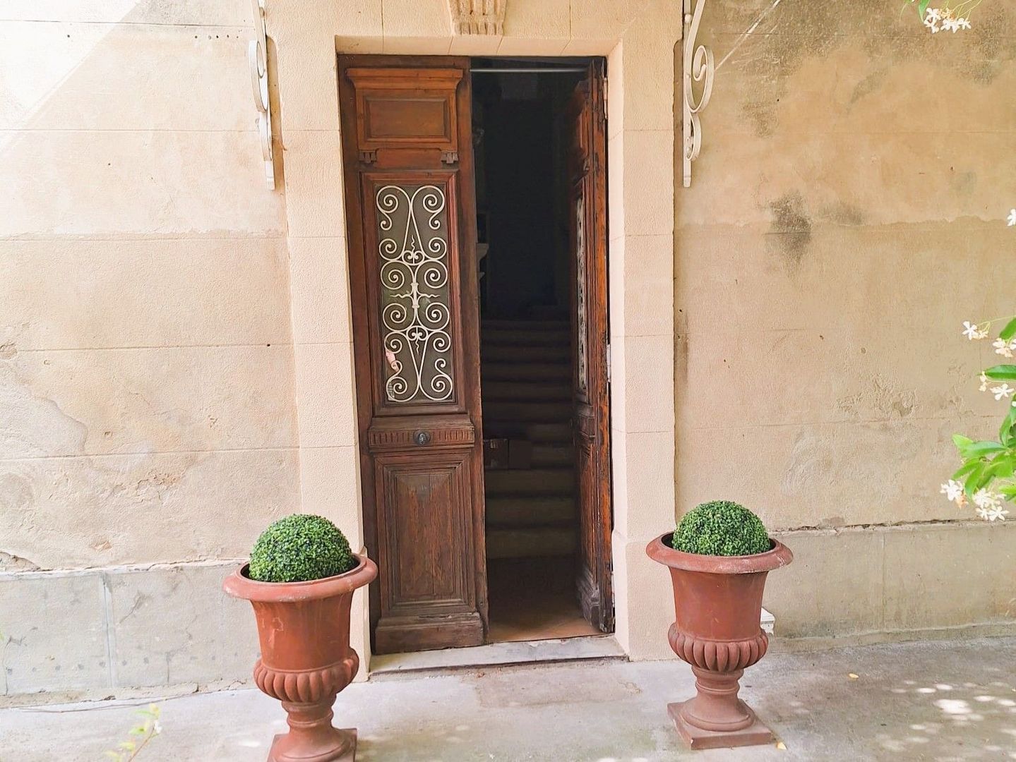 SI1578, Orange foto-3 blur