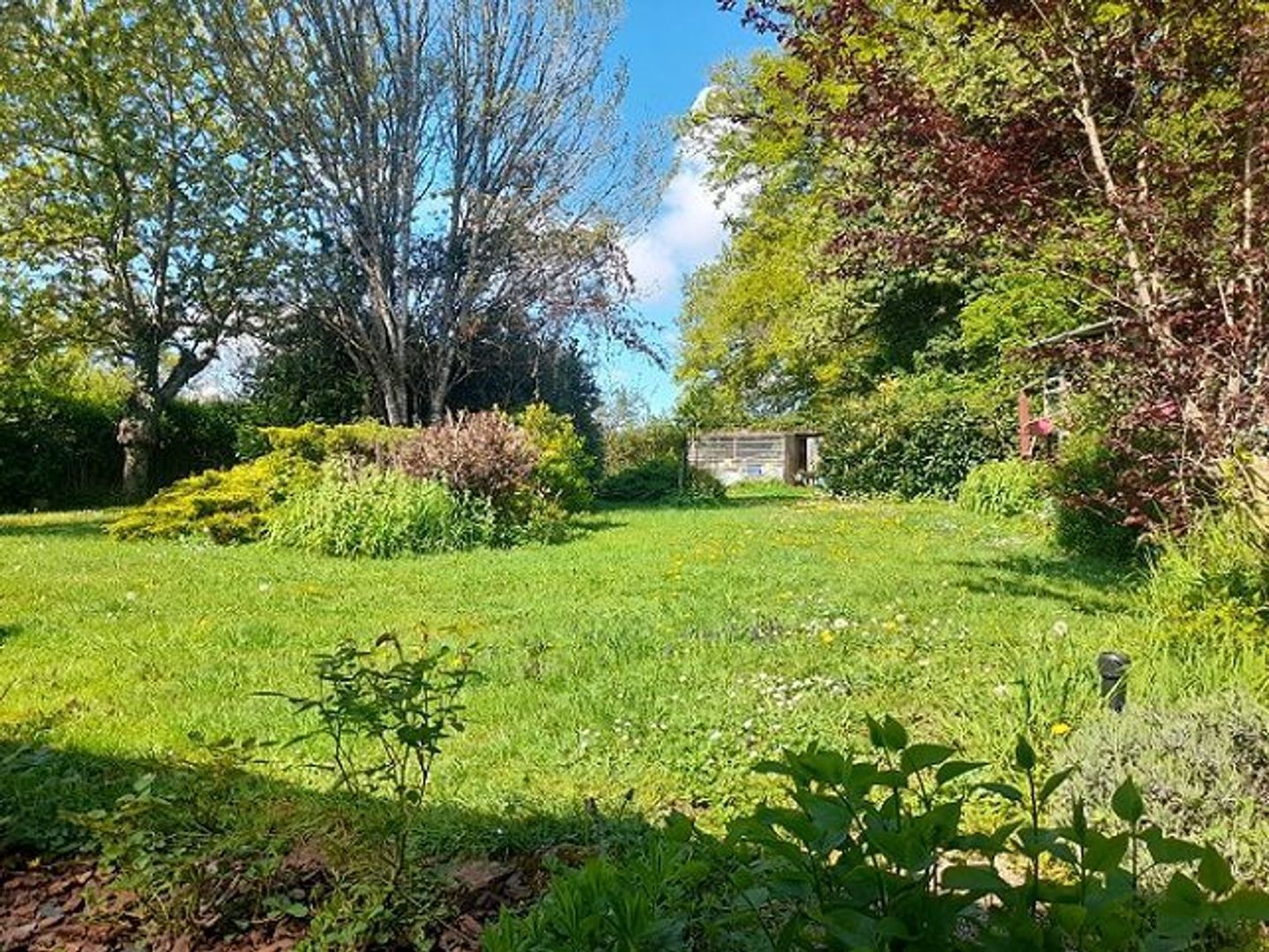 SI1572, Corbigny foto-3 blur