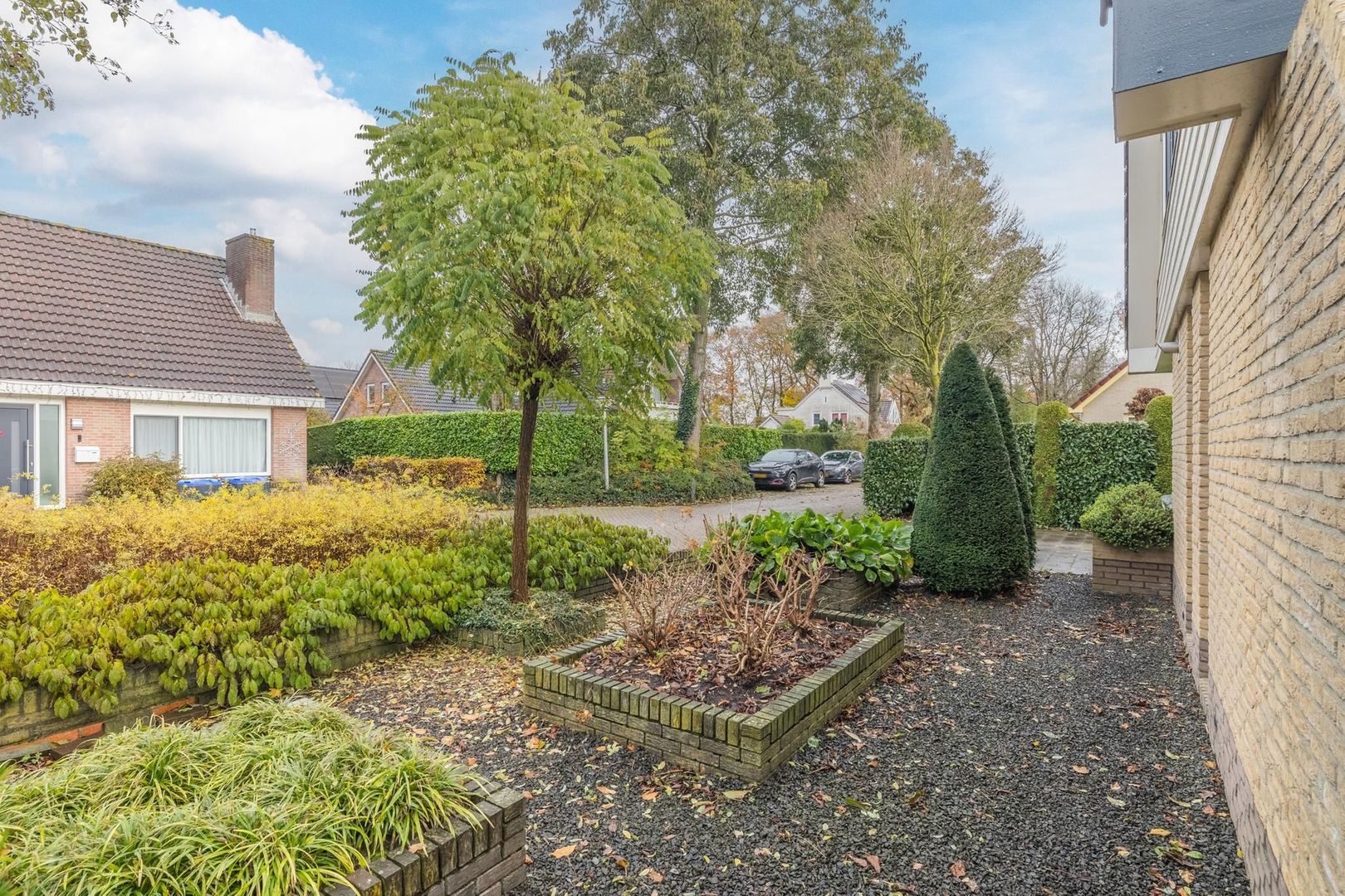 Schultambt 6, Meppel foto-30 blur