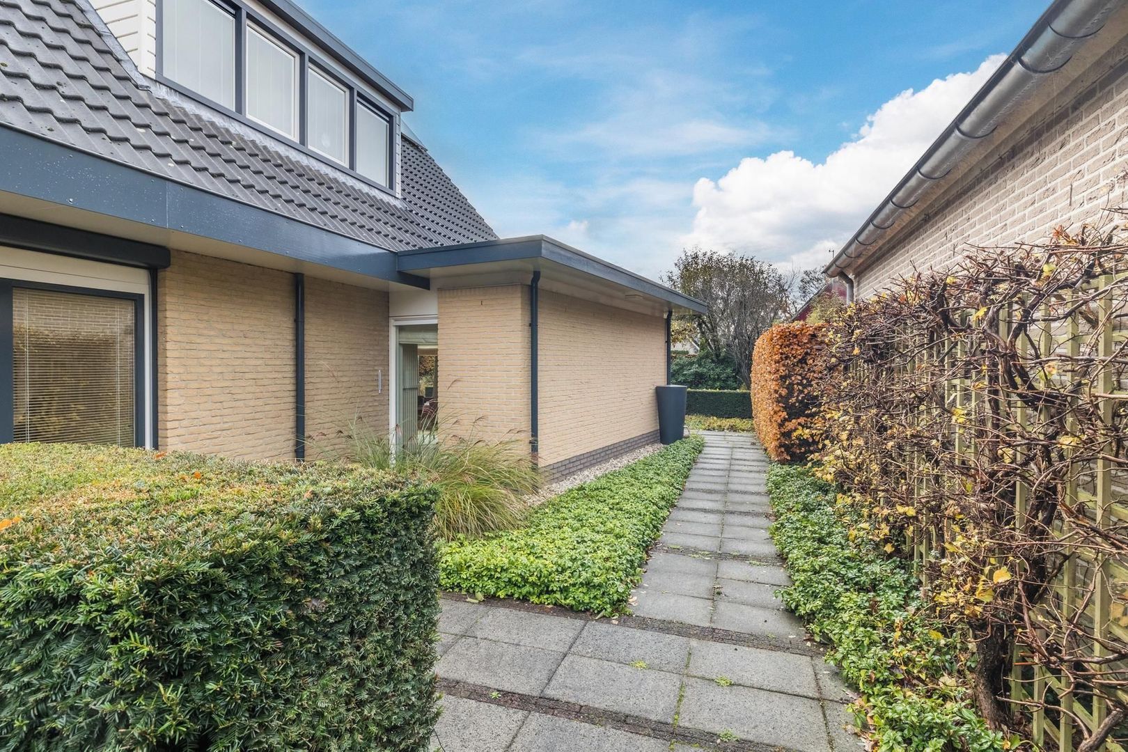 Schultambt 6, Meppel foto-34 blur